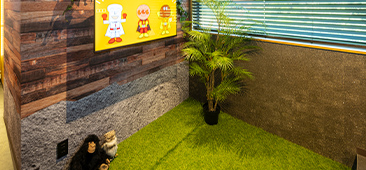 展示場・プールの写真