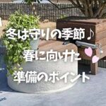 2026.1.31-winter-blog