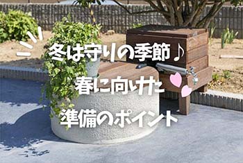 2026.1.31-winter-blog